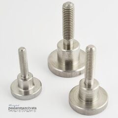 Paslanmaz Tırtık Kafalı Ayar Civata Çeşitleri DIN464