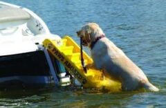 Paws-Up Tekne Köpek Merdiveni