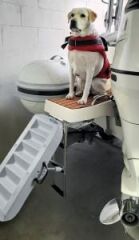 Paws-Up Tekne Köpek Merdiveni