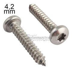 4,2mm Paslanmaz Torx SB Saç Vidası Çeşitleri