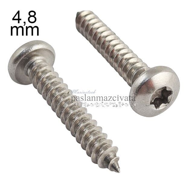 4,8mm Paslanmaz Torx SB Saç Vidası Çeşitleri