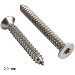 2,9mm Paslanmaz Torx HB Saç Vidası Çeşitleri