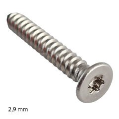 2,9mm Paslanmaz Torx HB Saç Vidası Çeşitleri