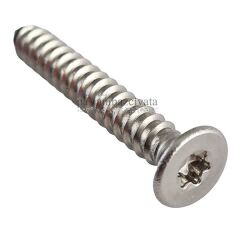 3,5mm Paslanmaz Torx HB Saç Vidası Çeşitleri