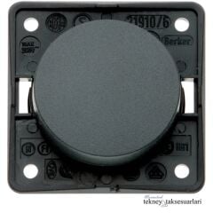 BERKER Integro Tekli Anahtar Çeşitleri