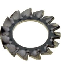 Paslanmaz Tırtıllı Pul Rondela Çeşitleri DIN6798