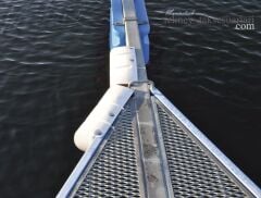 Danfeneder, İskele Usturmaçası