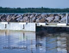 Danfeneder, İskele Usturmaçası