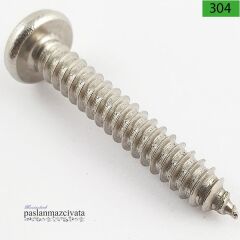 2,2mm Paslanmaz YSB Saç Vidası Çeşitleri DIN7981
